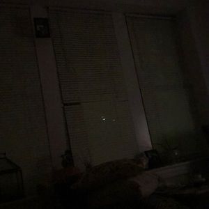 Meet your Posher, Toni